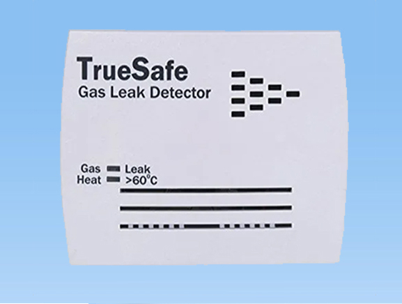True Safe Gas Leak Detection Dealers in Pune
